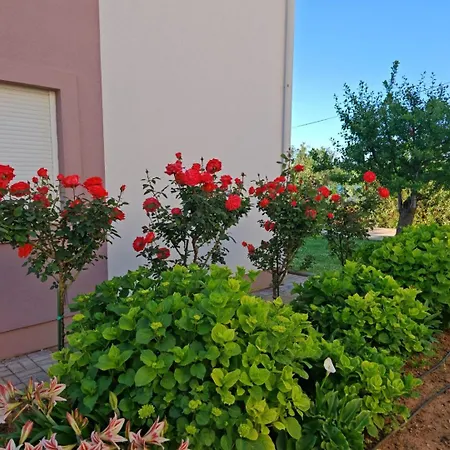 Zatonka Διαμέρισμα Zaton (Zadar)