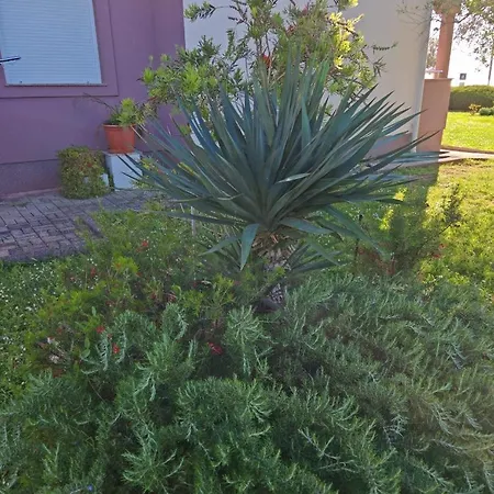 Apartman Zatonka Zaton (Zadar)